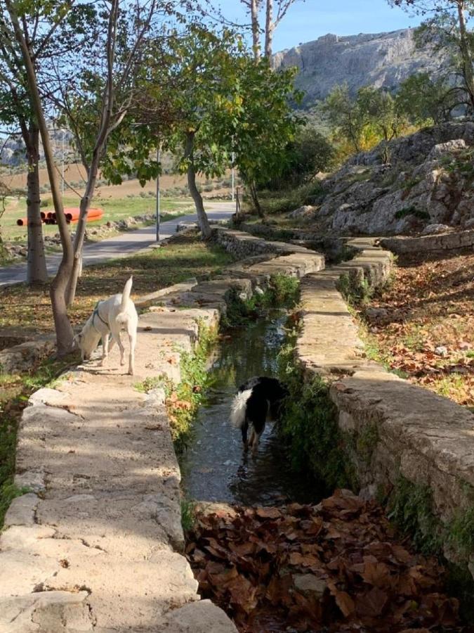 Villa Remedios Cuevas del Becerro Esterno foto