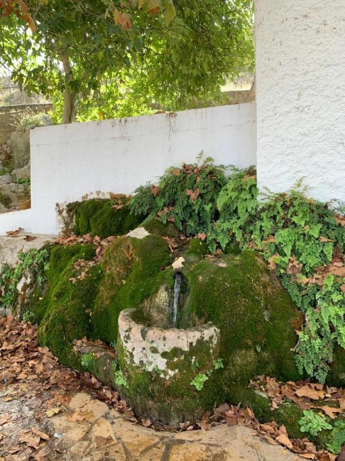 Villa Remedios Cuevas del Becerro Esterno foto